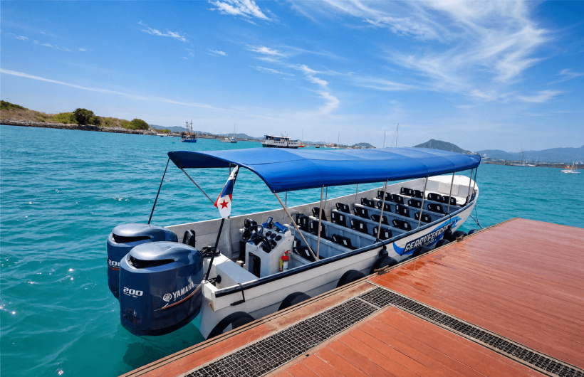 Paga $73.50: Avistamiento de Ballenas