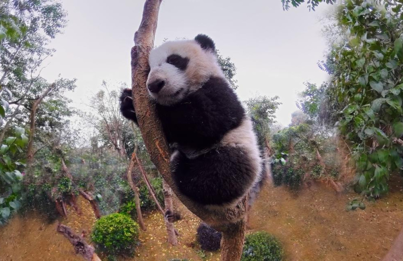 Paga $10.40: Experiencia de Realidad Virtual