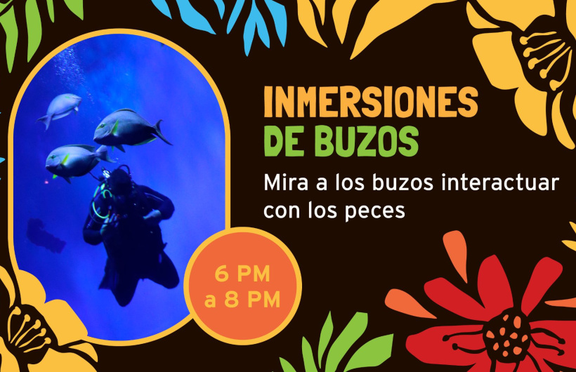 Paga $9: Noche en el Biomuseo