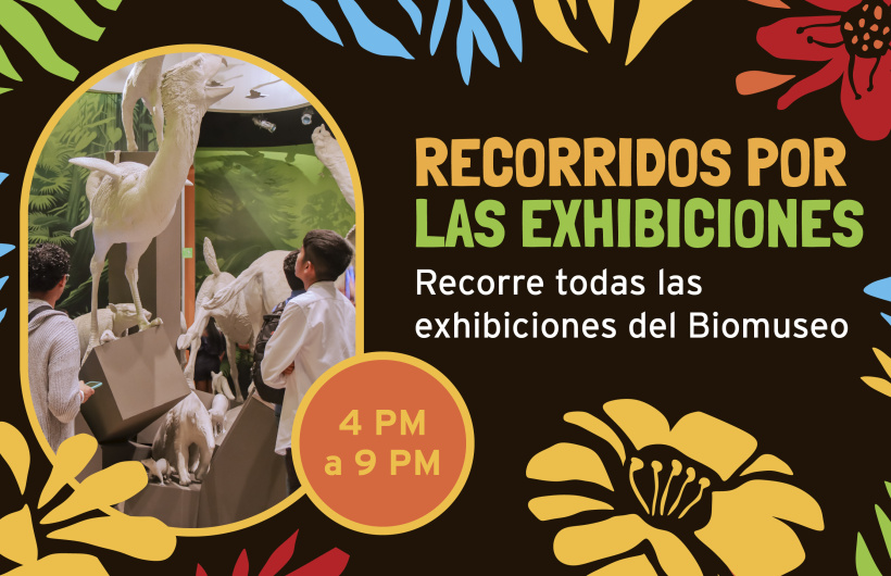 Paga $9: Noche en el Biomuseo