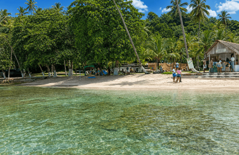 Paga $20: Tour a Isla Mamey