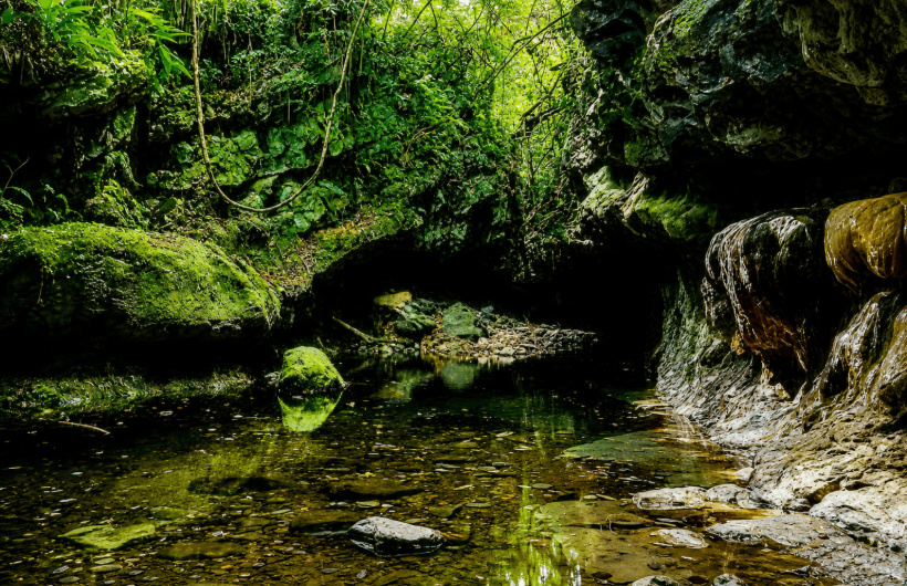 Paga $35: Tour a las Cuevas de Bayano