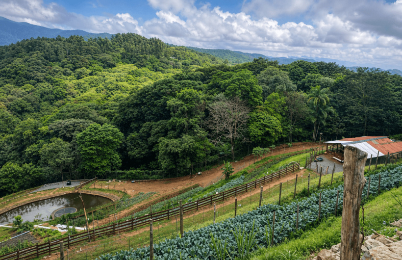 Desde $10: Granja de Contacto