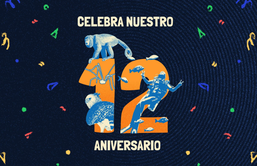 Paga $9: Noche en el Biomuseo