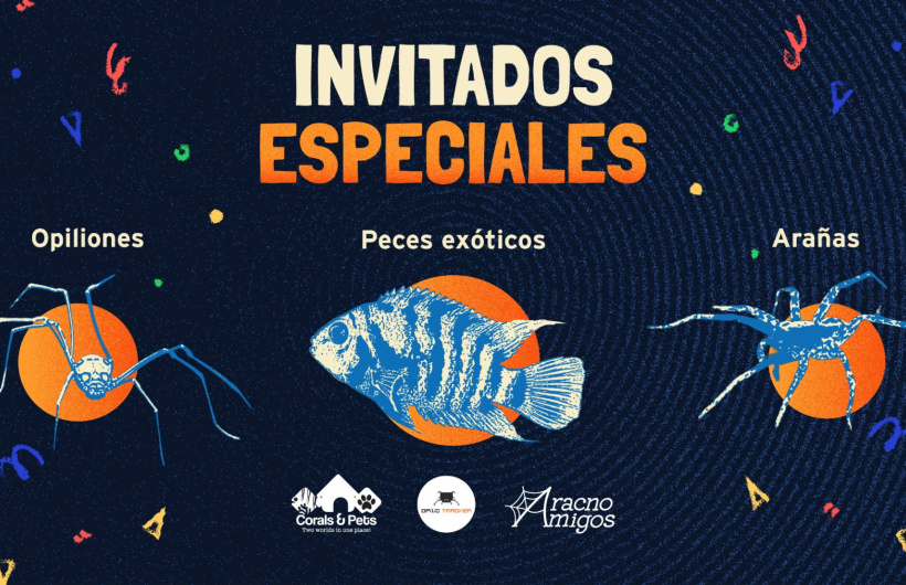 Paga $9: Noche en el Biomuseo