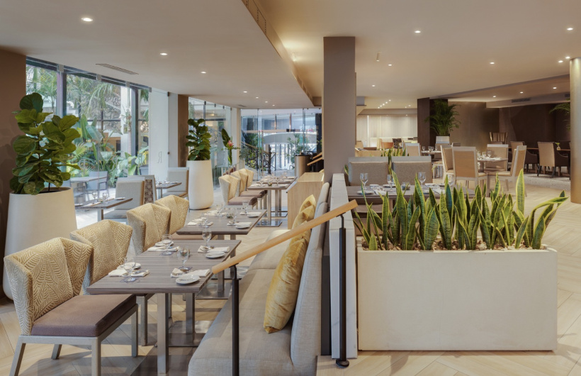 Desde $25: Pasta experience