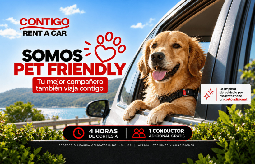 Desde $5: Alquiler de Auto