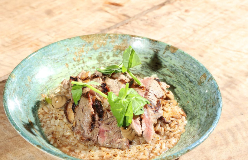 Desde $14: Gastronomía Variada