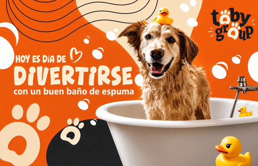 Desde $7: Baño y Guardería Para Perros