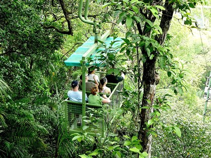 Gamboa Rain Forest